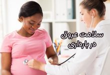 سلامت عروق در بارداری