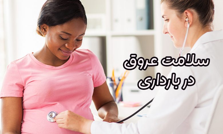 سلامت عروق در بارداری